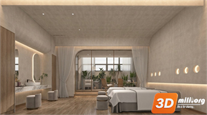 Spa Skp Files 